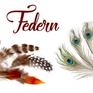 Kategoriebild der Kategorie “Deko Federn”