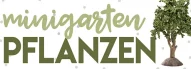 Kategoriebild der Kategorie “Miniatur Pflanzen”