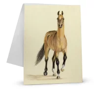 Kategoriebild der Kategorie “Pastellpapier”