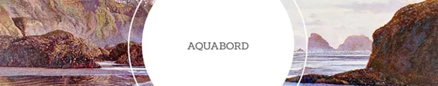 Ampersand AquaBord kaufen