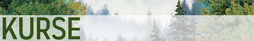 Bob Ross Malkurse kaufen