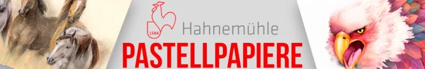 Hahnemühle Pastellpapier  kaufen