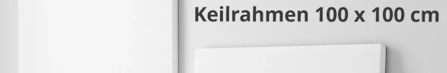 Keilrahmen 100 x 100 kaufen