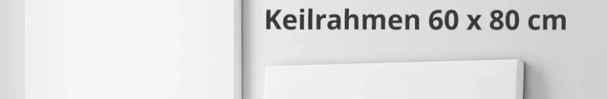 Keilrahmen 60 x 80 kaufen