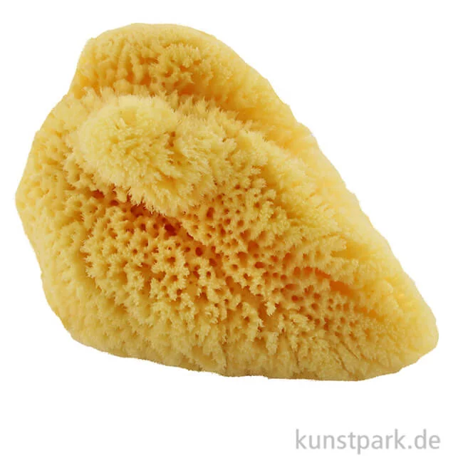 Artikelbild 1 des Artikels “Aquarellschwamm fein 11,0 cm “