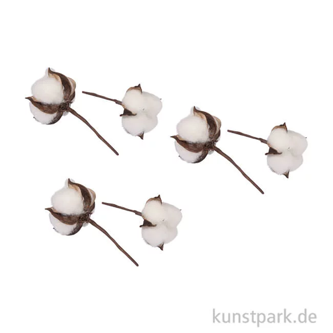 Artikelbild 1 des Artikels “Baumwollblüten, 10 cm, 6 Stück “