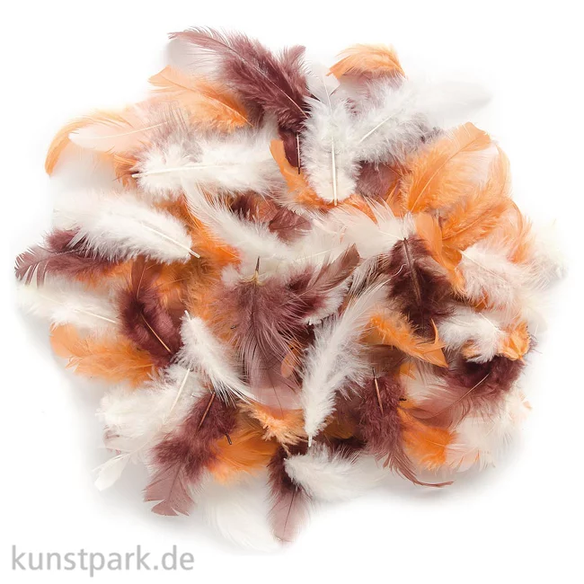 Artikelbild 1 des Artikels “Deco-Federn - Braun, 10g sortiert “