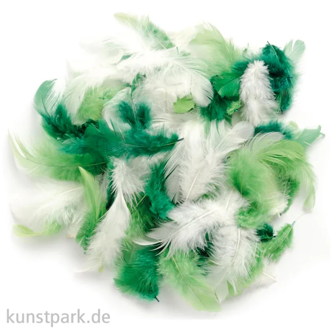 Artikelbild 1 des Artikels “Deco-Federn - Grün, 10g sortiert “