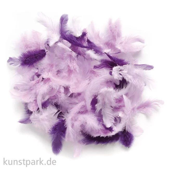 Artikelbild 1 des Artikels “Deco-Federn - Lila, 10g sortiert “