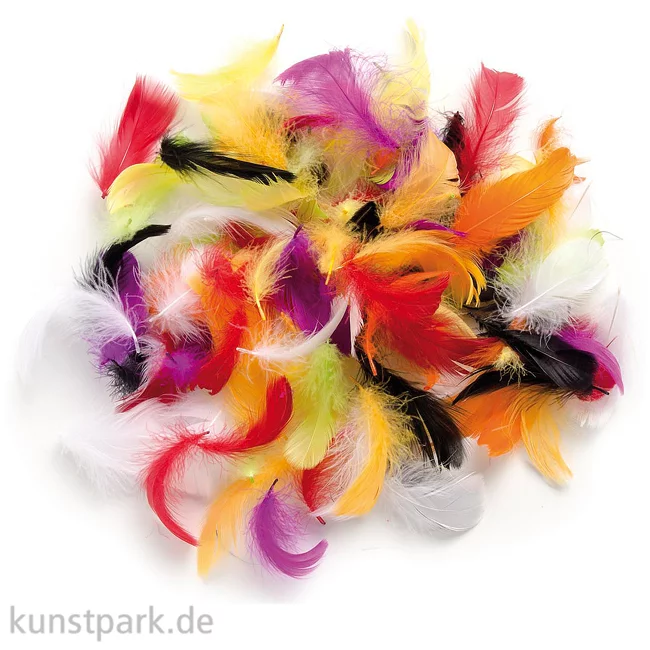 Artikelbild 1 des Artikels “Deco-Federn - Multicolor, 10g sortiert “