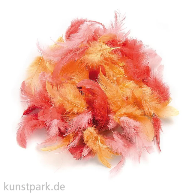 Artikelbild 1 des Artikels “Deco-Federn - Rot, 10g sortiert “