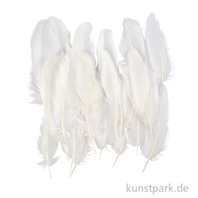 Artikelbild 1 des Artikels “Deko Federn, Weiß, Größe 10 - 18 cm, 70 Stück “
