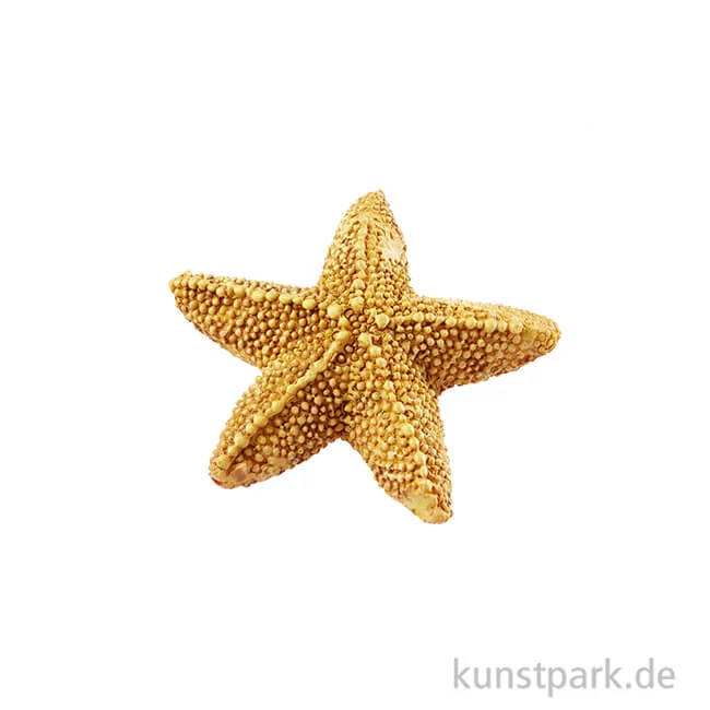 Artikelbild 1 des Artikels “Deko Seestern 5,8 cm“