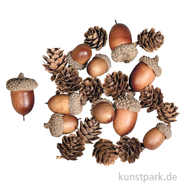 Artikelbild 1 des Artikels “Eichel-Zapfen Mix, sortiert, 2-4 cm, 27 Stück “