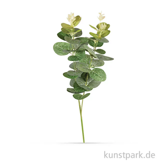 Artikelbild 1 des Artikels “Eukalyptuszweig, 34 cm “