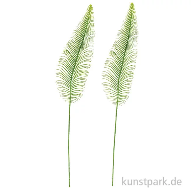 Artikelbild 1 des Artikels “Farn - Groß, 2 Stück “