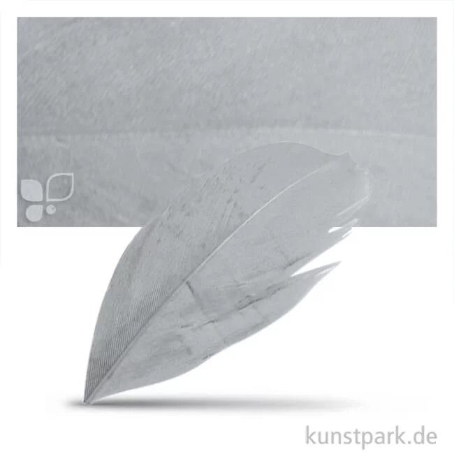 Artikelbild 1 des Artikels “Federn geschnitten, Schmuck 5-6 cm, 36 Stück Farbe | Hellgrau“