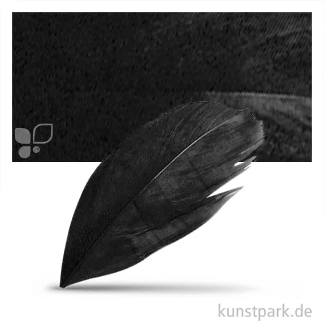 Artikelbild 1 des Artikels “Federn geschnitten, Schmuck 5-6 cm, 36 Stück Farbe | Schwarz“