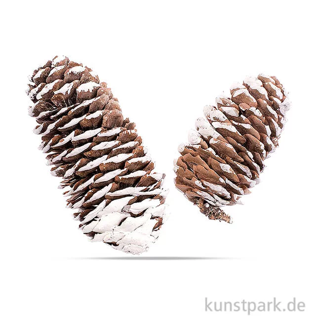 Artikelbild 1 des Artikels “Fichtenzapfen 6 - 8 cm, 50g “