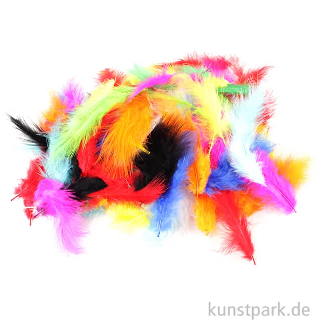 Artikelbild 1 des Artikels “Flauschfedern, 100g - farbig sortiert “
