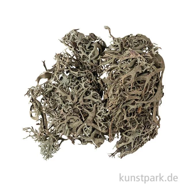 Artikelbild 1 des Artikels “Flechten Moos, Grün, 20g “