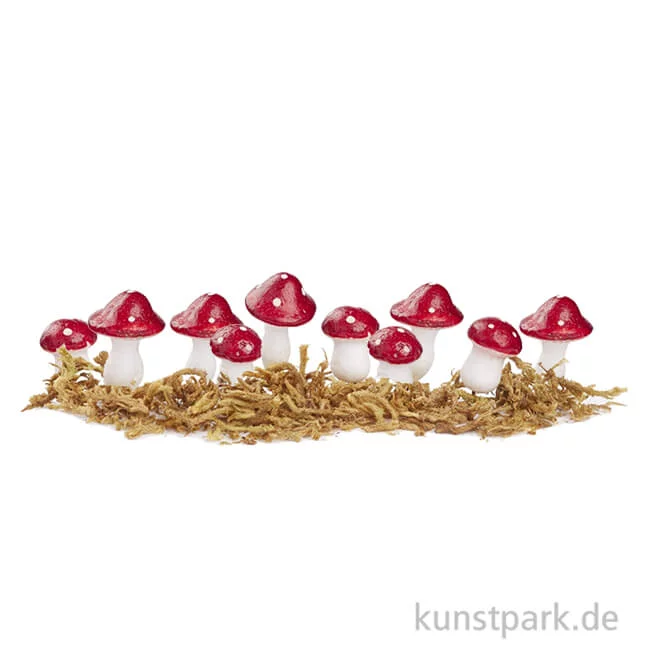 Artikelbild 1 des Artikels “Mini Fliegenpilze mit Moos 2-3 cm, 10 Stück“