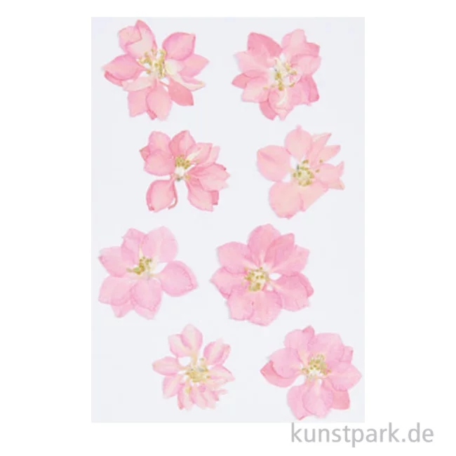 Artikelbild 1 des Artikels “Gepresste Blüten - Rittersporn Rosa, 8 Stück “