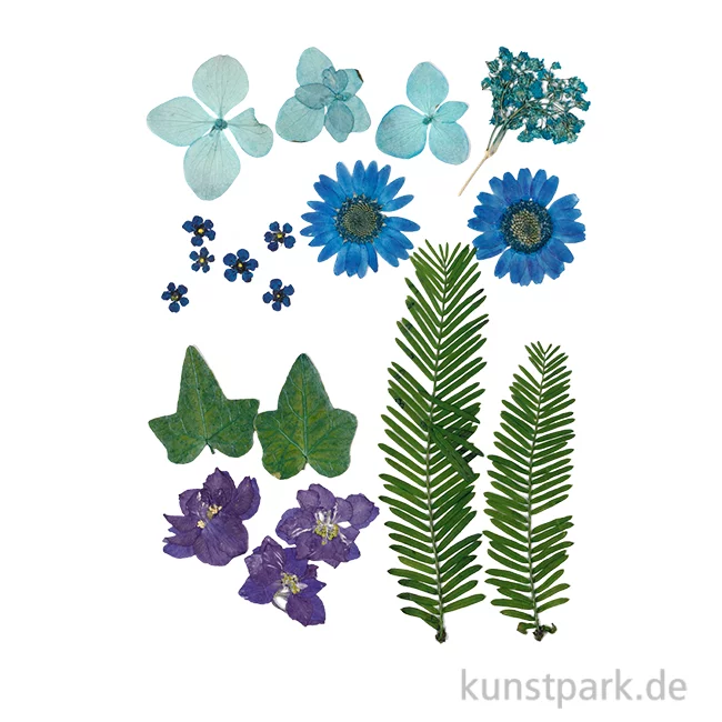 Artikelbild 1 des Artikels “Gepresste Blüten und Blätter - Blau “