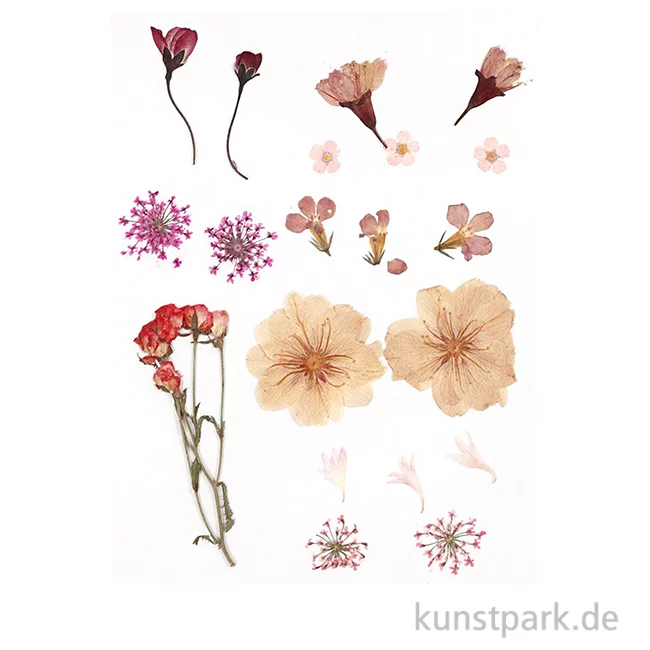 Artikelbild 1 des Artikels “Gepresste Blüten und Blätter - Hellrosa “