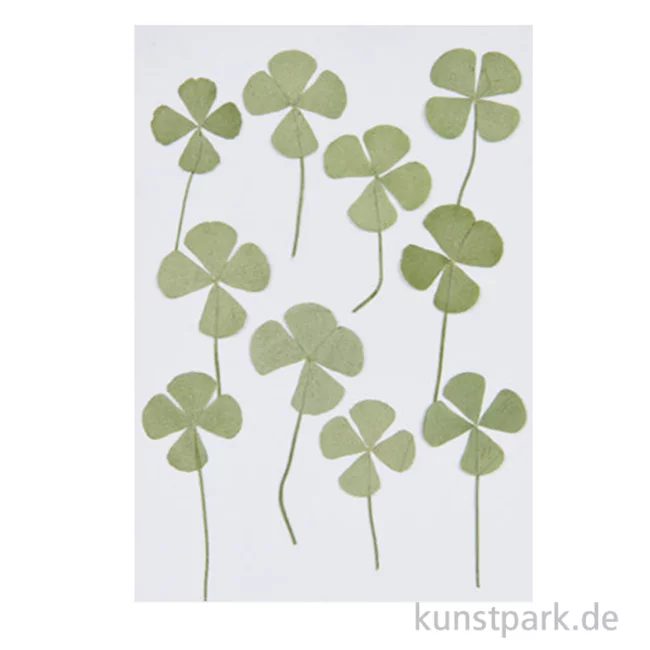 Artikelbild 1 des Artikels “Gepresste Pflanzen - Vierblättriges Kleeblatt, 10 Stück “
