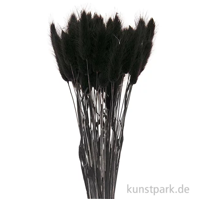 Artikelbild 1 des Artikels “Getrockneter Lagurus, 50 Stück Bund | Schwarz“