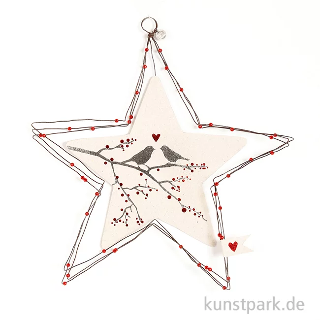Artikelbild 1 des Artikels “Good old friends - Große Schmucksterne, Wintervögel “