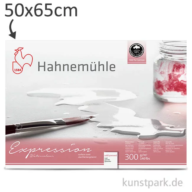 Artikelbild 1 des Artikels “Hahnemühle EXPRESSION Aquarellpapier, 10 Einzelblatt, 300g - matt 50 x 65 cm“