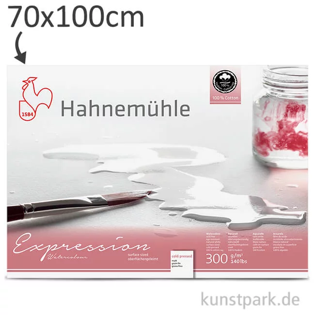 Artikelbild 1 des Artikels “Hahnemühle EXPRESSION Aquarellpapier, 10 Einzelblatt, 300g - matt 70 x 100 cm“