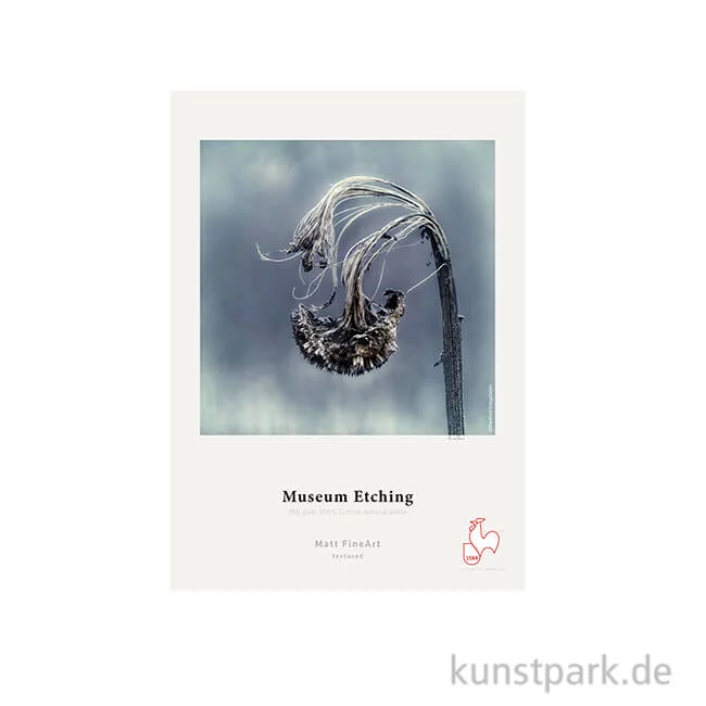 Artikelbild 1 des Artikels “Hahnemühle Museum Etching, 25 Blatt, 350 g/m² DIN A3“
