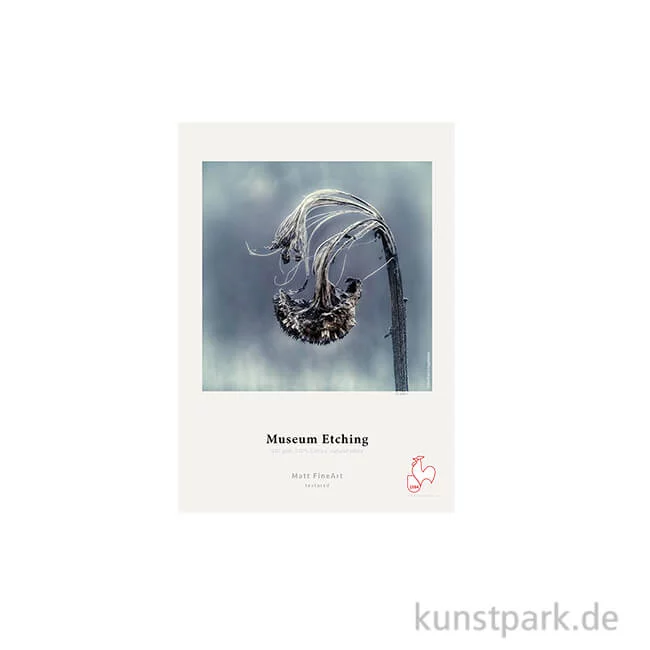 Artikelbild 1 des Artikels “Hahnemühle Museum Etching, 25 Blatt, 350 g/m² DIN A4“