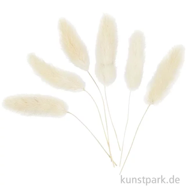 Artikelbild 1 des Artikels “Helles Federgras, 6 Stück im Set, Länge etwa 3 bis 7 cm “