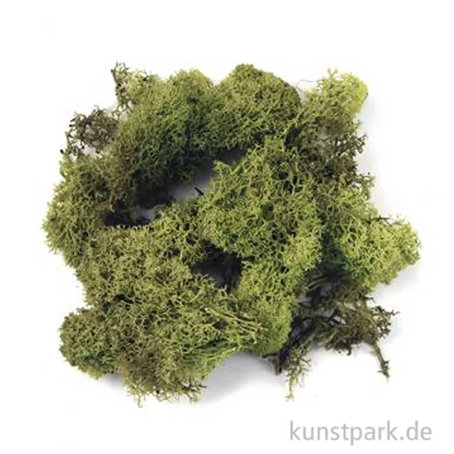 Artikelbild 1 des Artikels “Islandmoos - Hellgrün, 30 g “