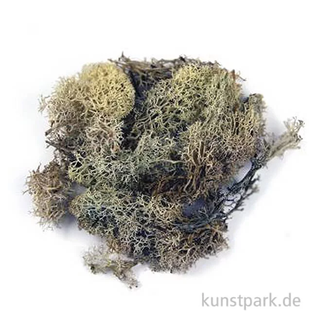Artikelbild 1 des Artikels “Islandmoos - Natur, 30 g “