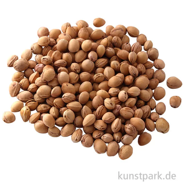 Artikelbild 1 des Artikels “Kirschkerne - gewaschen, 500 g “