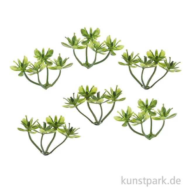 Artikelbild 1 des Artikels “Mini Buchs, 3 cm, 6 Stück “