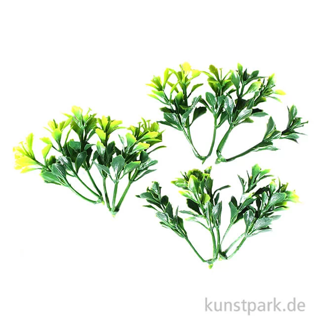 Artikelbild 1 des Artikels “Mini Buchs, 5 cm, 6 Stück “