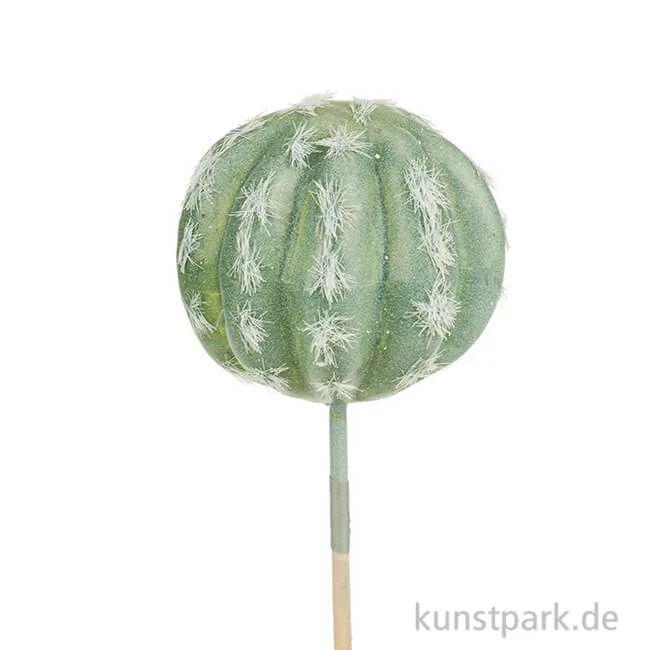 Artikelbild 1 des Artikels “Mini-Echinopsis ancistrophora 6 cm “