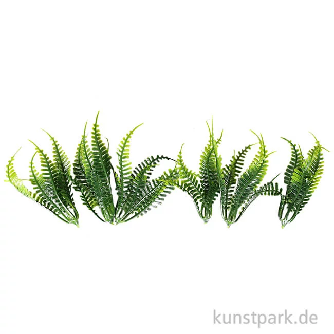 Artikelbild 1 des Artikels “Mini Farn, 7 cm, 6 Stück “