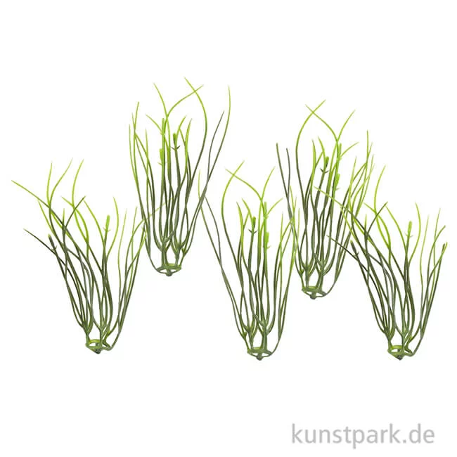 Artikelbild 1 des Artikels “Mini Gräser, 9 cm, 5 Stück “