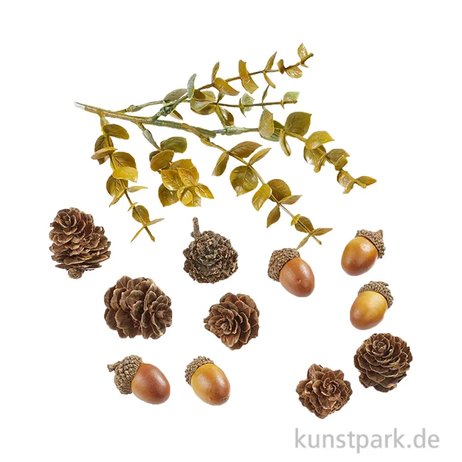 Artikelbild 1 des Artikels “Mini Herbst Deko Set, Eicheln + Zapfen, 2,5-10 cm, 13-teilig “
