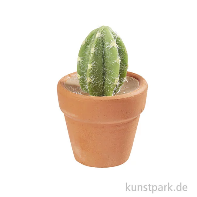 Artikelbild 1 des Artikels “Mini Kaktus im Terracottatopf, oval, 5 cm “