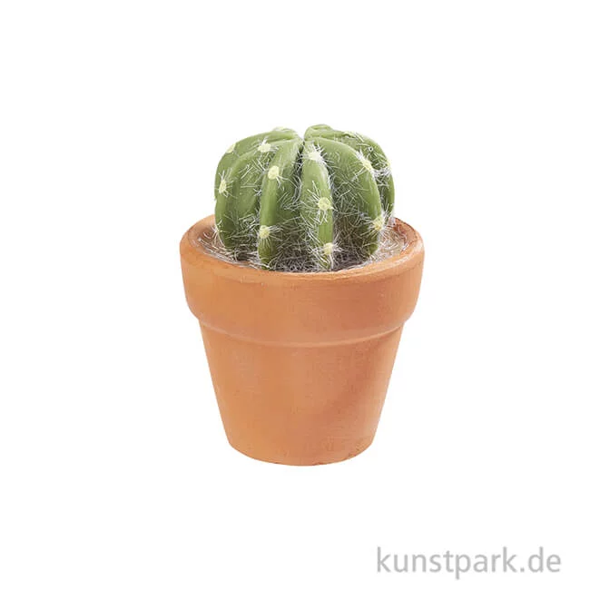 Artikelbild 1 des Artikels “Mini Kaktus im Terracottatopf, rund, 4,5 cm “