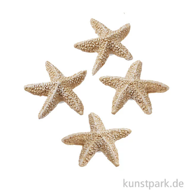 Artikelbild 1 des Artikels “Mini Seestern, Natur, 2 cm, 4 Stück “