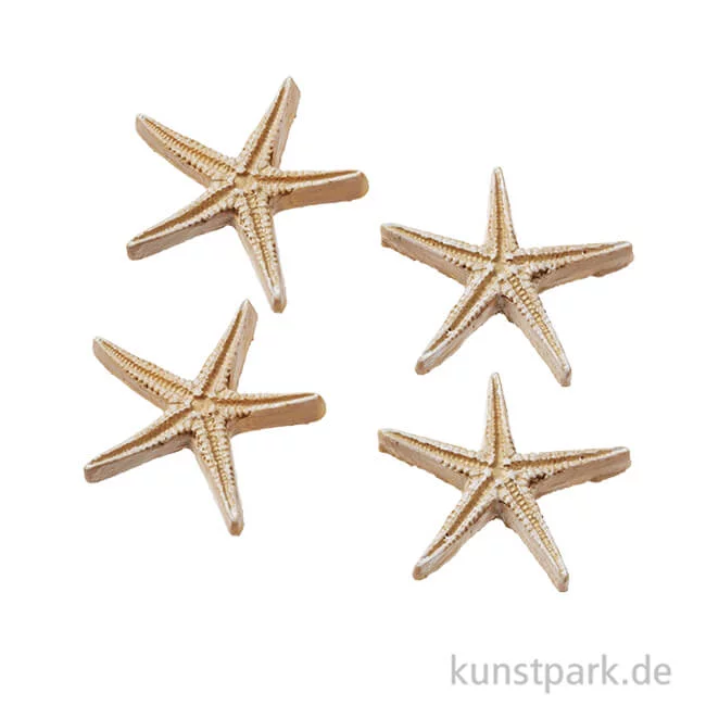 Artikelbild 1 des Artikels “Mini Seestern - Natur, 2,8 cm, 4 Stück “